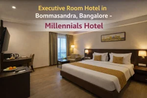 Blogs 108 Executive Room Hotel in Bommasandra, Bangalore- Millennials Hotel